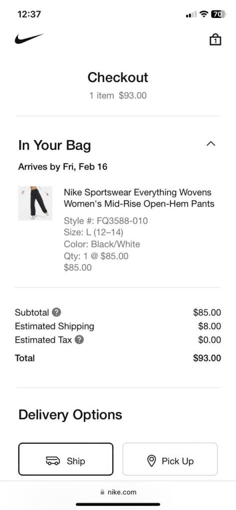 checkout page from nike.com