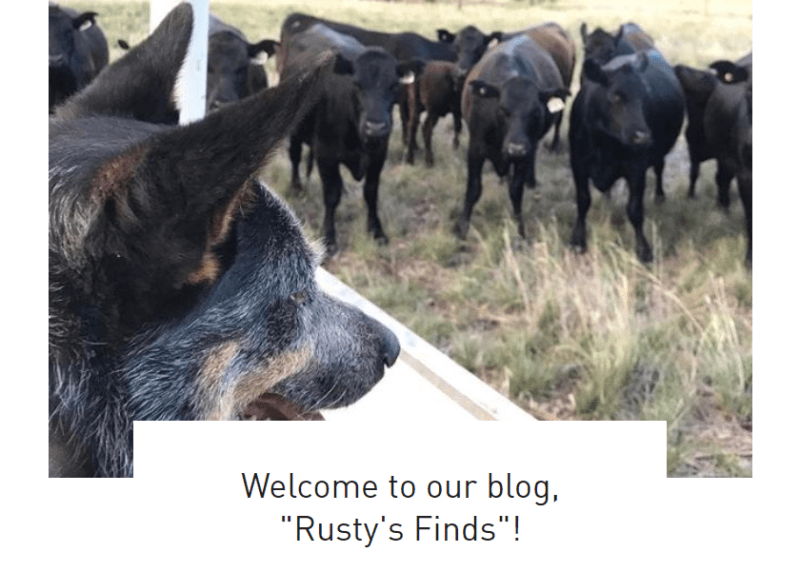 virtual multi vendor marketplace